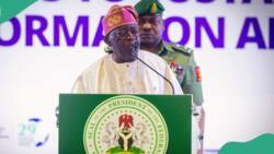 New Year's Day: Full text of President Tinubu’s message