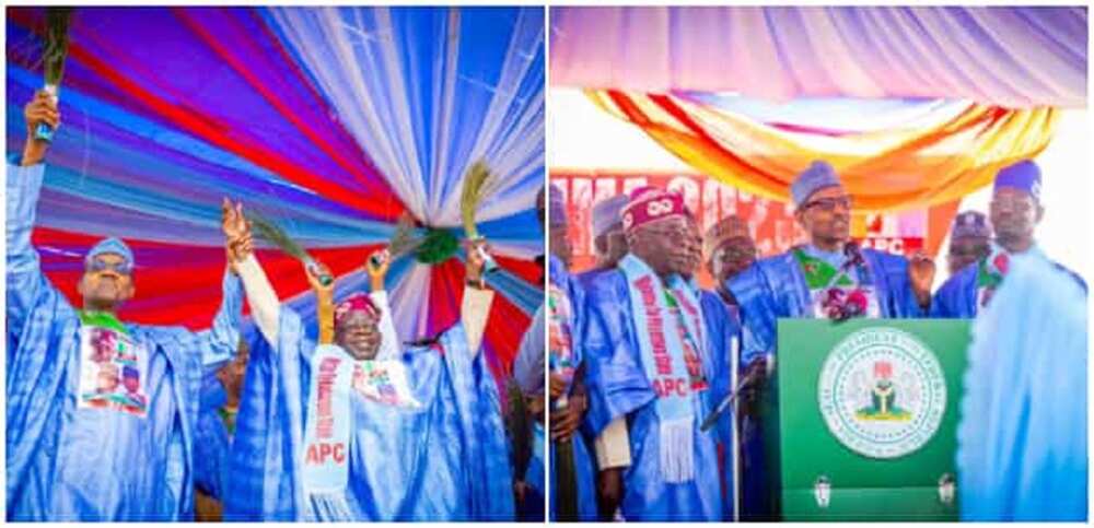 Tinubu Tinubu