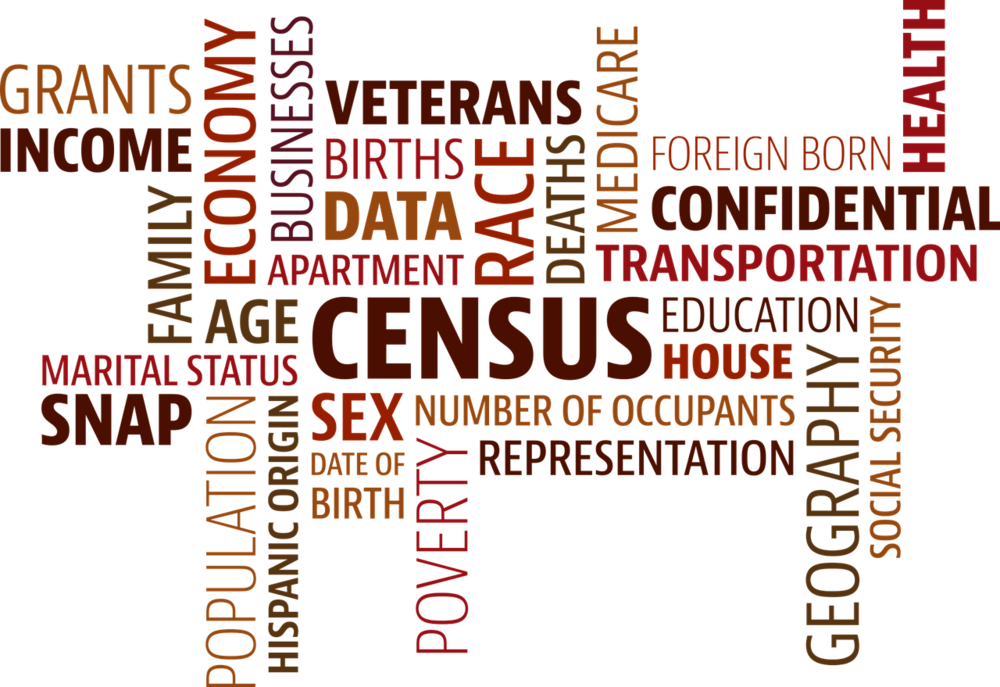 Importance of population census in planning and development Legit.ng