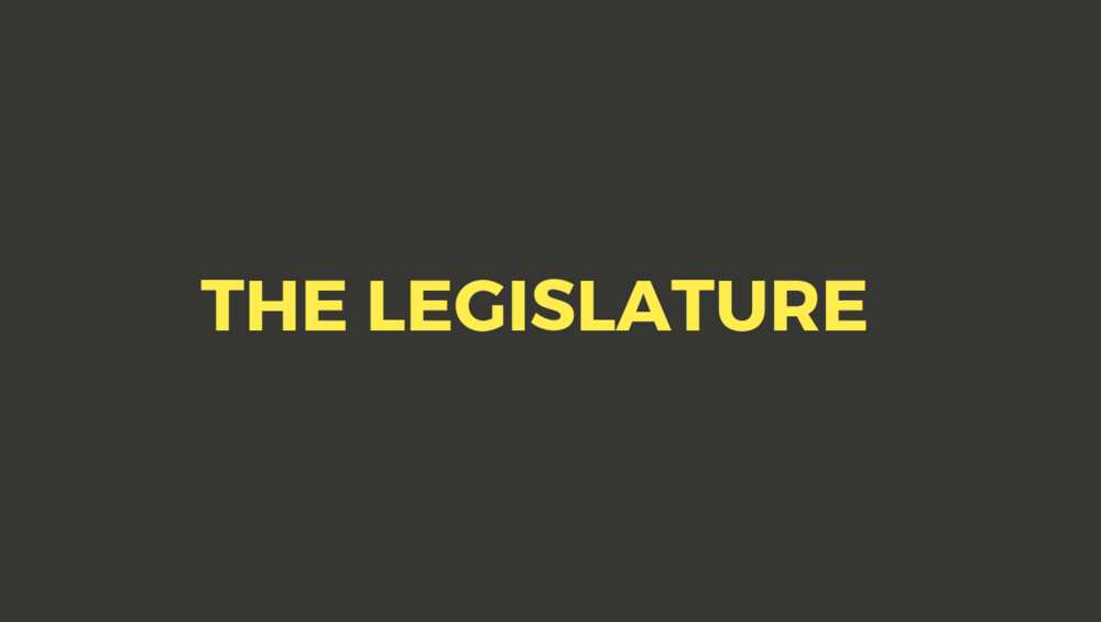 The legislative structure The legislative structure