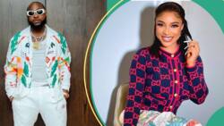 "OBO and Konji na 5&6": Old Davido tweets sharing ungodly thoughts about Tonto Dikeh re-emerge