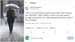 I Sent My Workers Home When They Came Late to Work Because of Rain: Nigerian Boss Says, Stirs Reactions