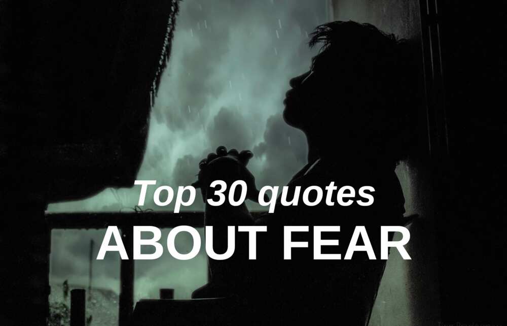 Top 30 quotes about fear