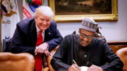 Ya kamata Trump ya yi koyi da Buhari - APC