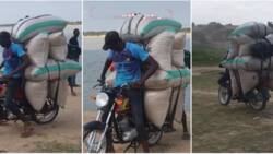 Nigerian Okada rider performs "magic" with motorcycle, loads 7 bags of grain, speeds off in stunning video