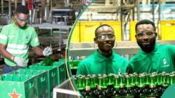 Naira: Nigerian Breweries releases new prices for Gulder, 33 extra, Heineken, others drinks
