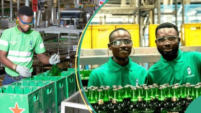 Looming job losses as Nigerian Breweries shuts down two breweries amid record N153 billion loss