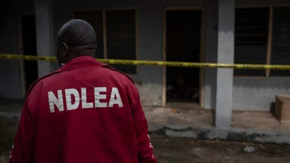 NDLEA Operatives Storm Lagos Church to Arrest Wanted Drug Dealer