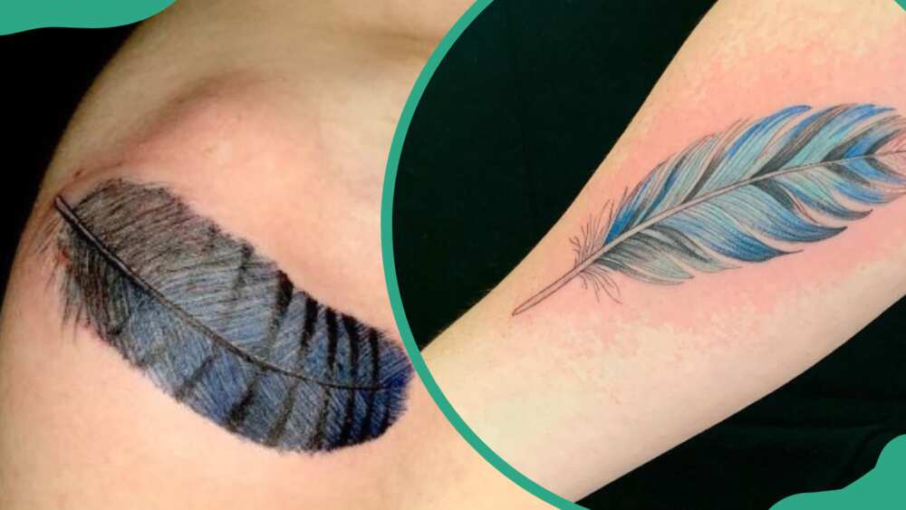 Blue Jay feather tattoos