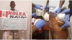NDLEA arrests Europe-bound teenage student with meth concealed in crayfish packages at Abuja Airport
