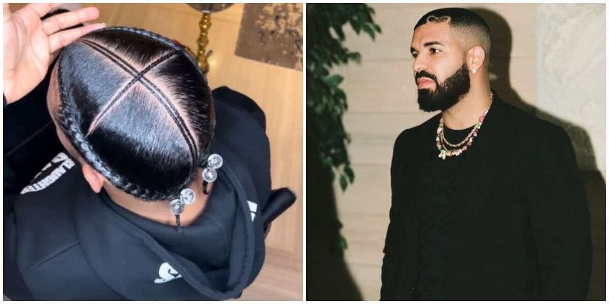 Drake Gets Creative & Gets Owl Braided In His Hair, Netizens Troll “Look  Like Some Fallopian Tube To Me” - Watch Video