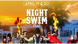 The Night Swim ft Cirque Le Soir Live In Lagos, Presented by Breeze Beach Club