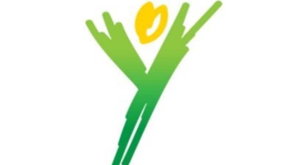 Youth Party's logo