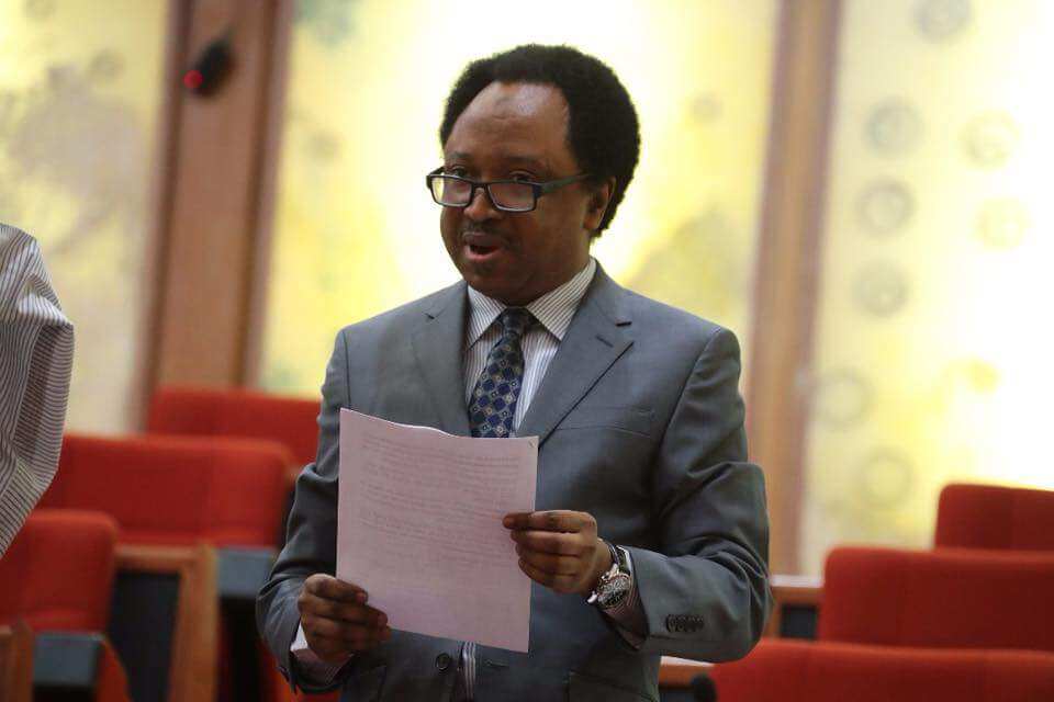 Shehu Sani, Shettima