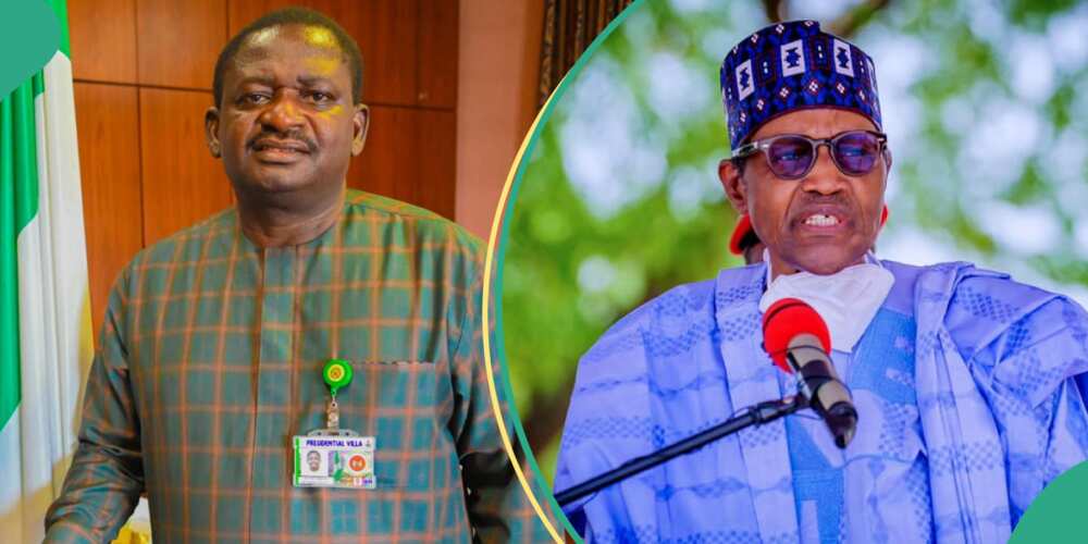 Adesina said Buhari had some regrets Adesina said Buhari had some regrets