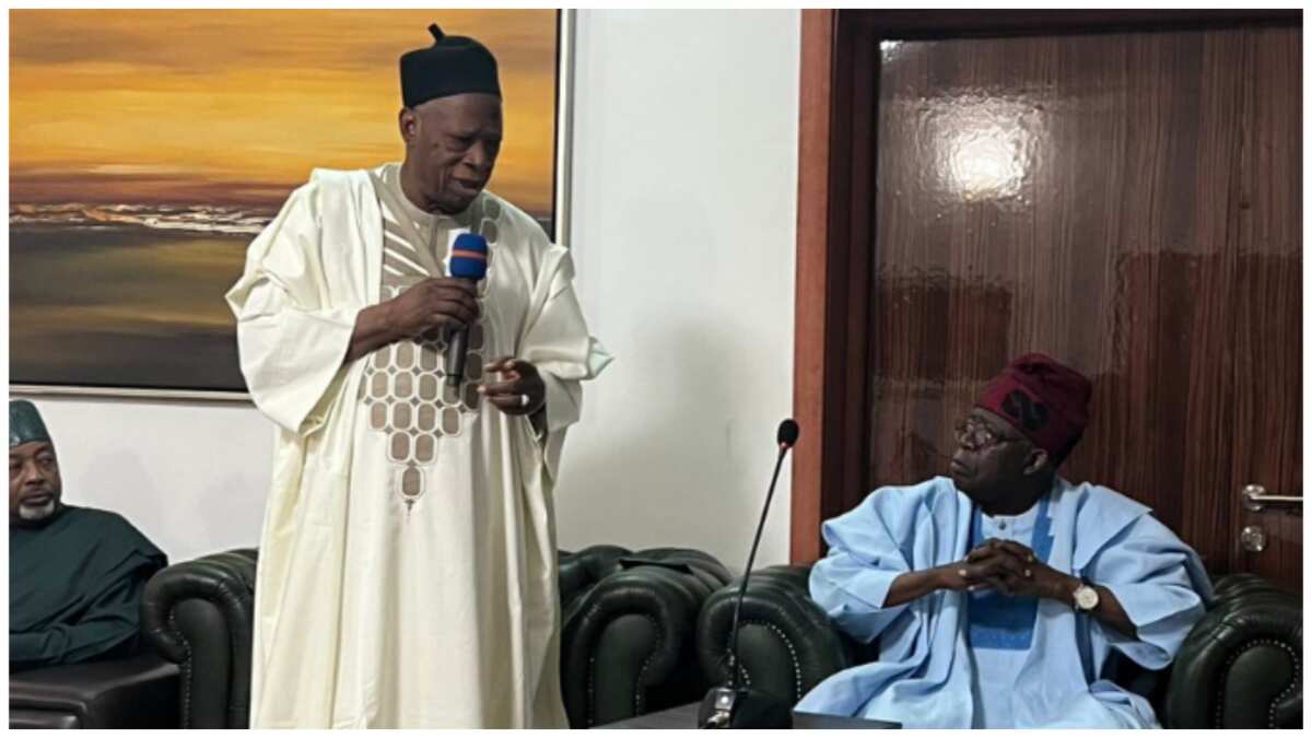 2023: We are all now your soldiers, APC chairman, NWC assures Tinubu of support