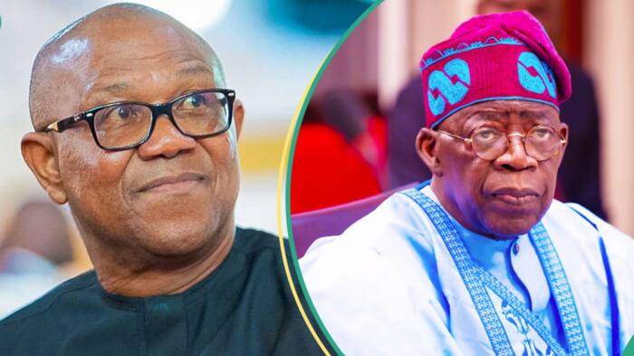 “It’s not a one-party state”: Nigerians react as APC governor begs Peter Obi to support Tinubu