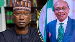 CCTV shows Emefiele, Boss Mustapha dragging $6.2m cash from CBN vault? Former SGF reacts