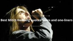 33 best Mitch Hedberg quotes, jokes, and one-liners