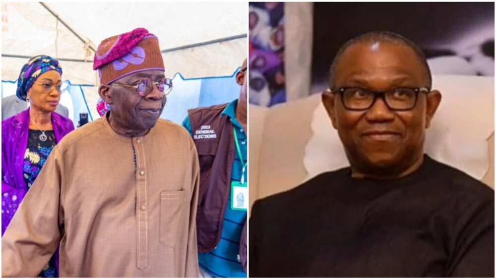 Bola Tinubu/Kashim Shettima/Peter Obi/Labour Party/2023 Election/Abuja