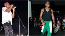 "Get her out of here": Ruger slams Gambian celebrity on stage during concert, video trends