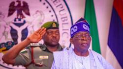 10th NASS: President Tinubu to meet opposition lawmakers-elect on Monday, June 5