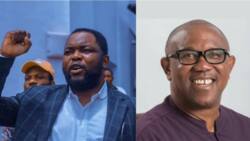 Why Imumolen's Accord could do better than Peter Obi's Labour Party in the forthcoming elections