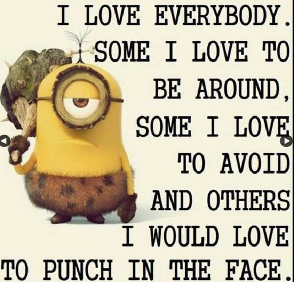 minion meme