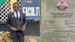 "First-class in law": UNIUYO student breaks 38-year record, graduates with excellent result