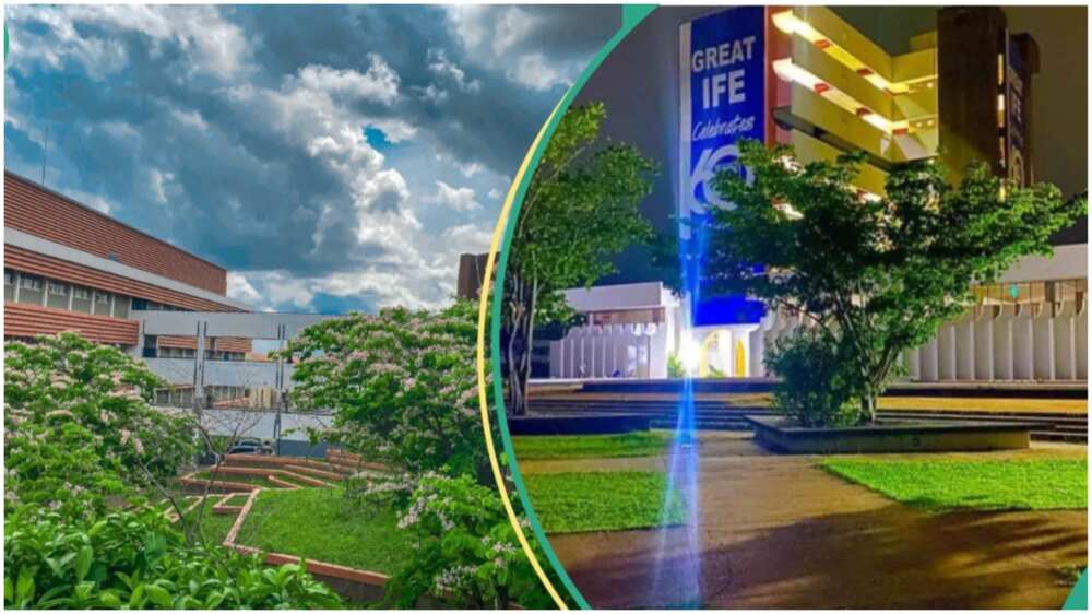 Obafemi Awolowo University/Ife/OAU/Osun/Bola Tinubu
