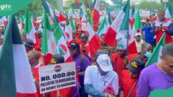 NLC, TUC finally suspend nationwide strike, give reason