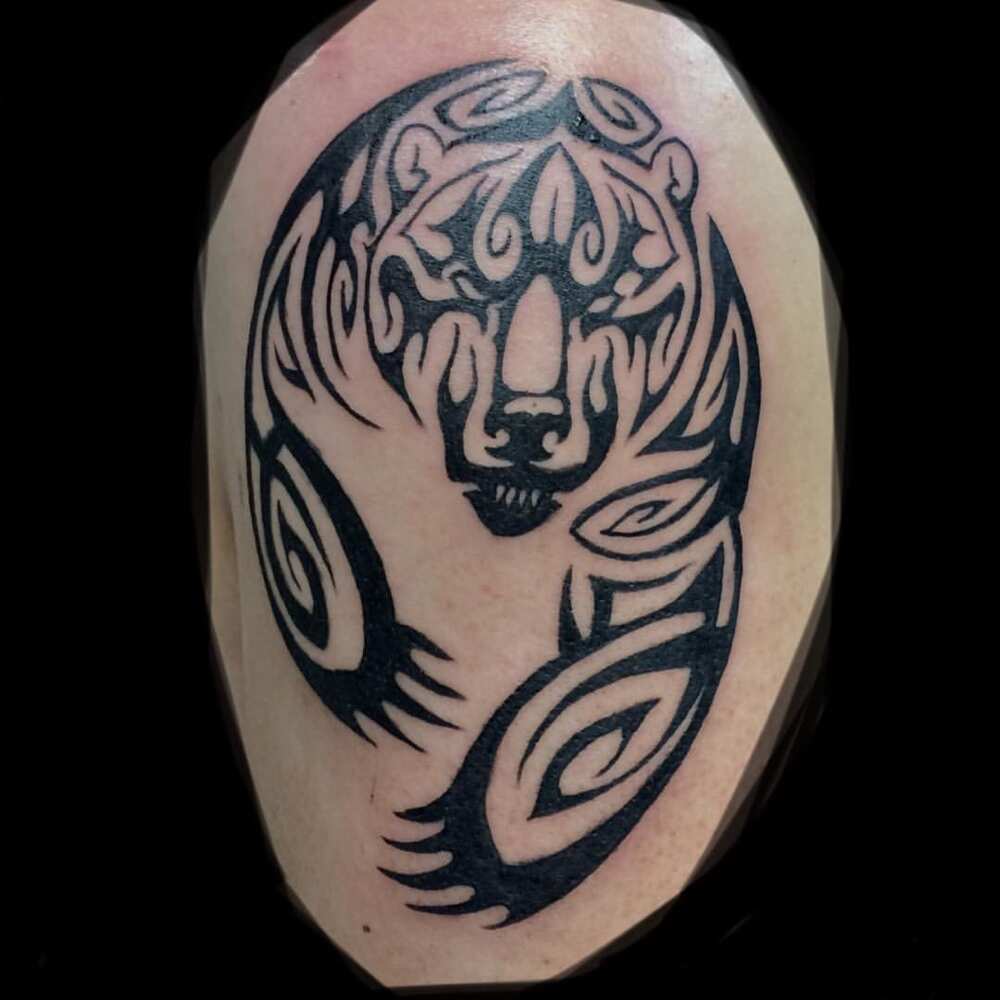 tribal bear chest tattoo