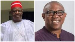 2023: Power will go to South East after Kwankwaso, says former lawmaker Jibrin