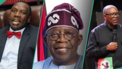 “Anambra debt grew by over 1000%”: Bwala accuses Peter Obi for attacking Tinubu over borrowing