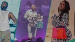 Davido shuts down MSG with Teni, Stonebwoy, others, gifts a fan over N50m, Chioma dances in video