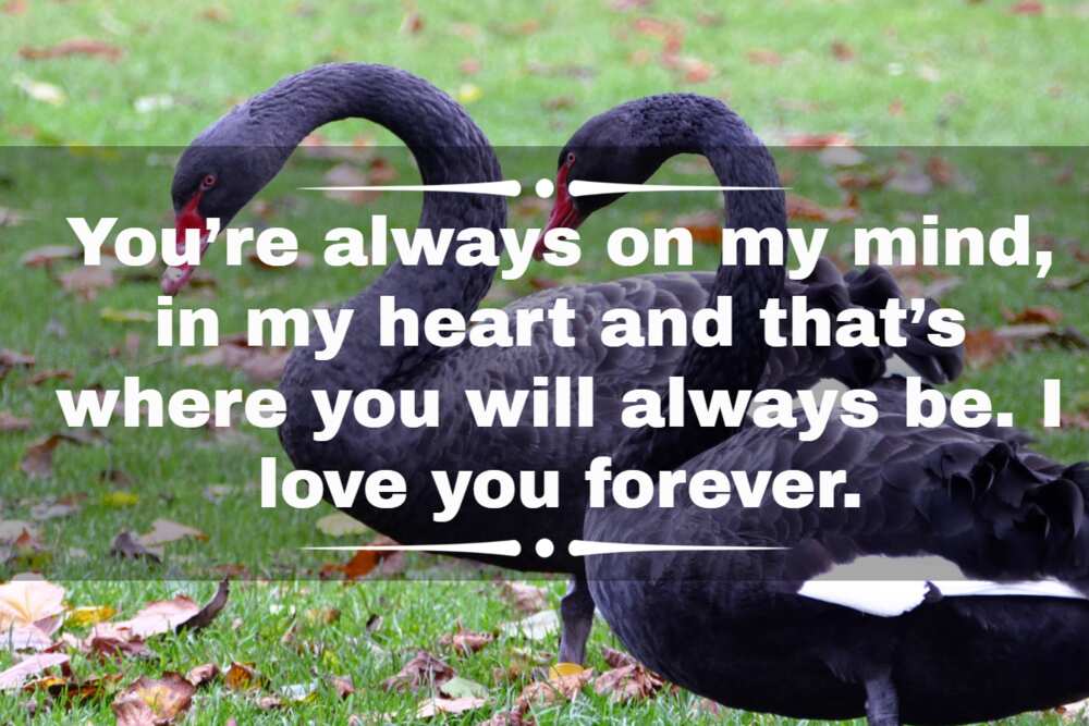 Can't stop thinking about you message Can't stop thinking about you message