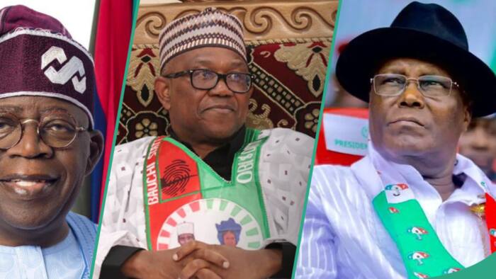 Tinubu's victory: Atiku, Peter Obi told what to do after Supreme Court's final verdict
