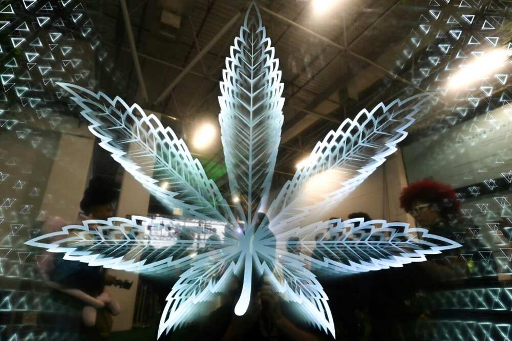 Around 20,000 visitors are expected at the three-day event Around 20,000 visitors are expected at the three-day event