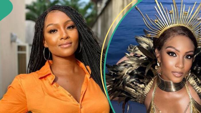 Osas rocks 'dangerous' golden outfit, shows off dance skills at carnival in Barbados: "Beyonce is that you?"