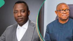 Why I cannot work with Labour Party, Sowore opens up