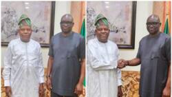 2023: More intrigues ahead of polls as Shettima visits Fayose, details emerge