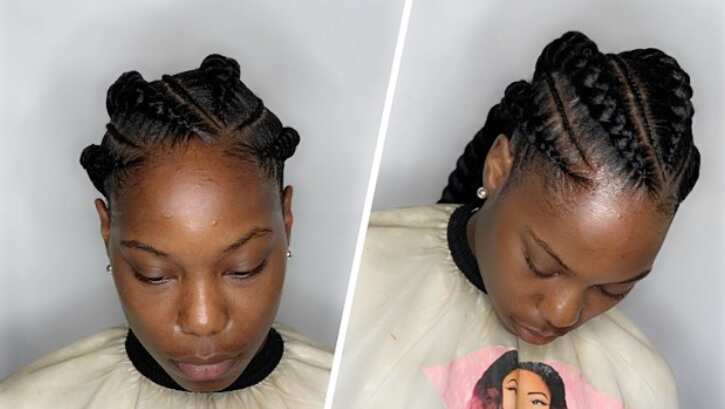 50+ latest feed in braids styles of 2024: best ideas to try 