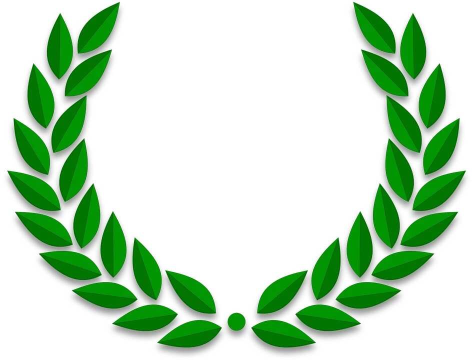 Olive branch peace symbol