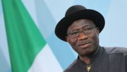 2023: We'll not allow Jonathan to hijack our party, says Bayelsa APC chieftain