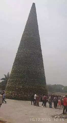 SEE Imo Christmas Tree That Cost N600 Million