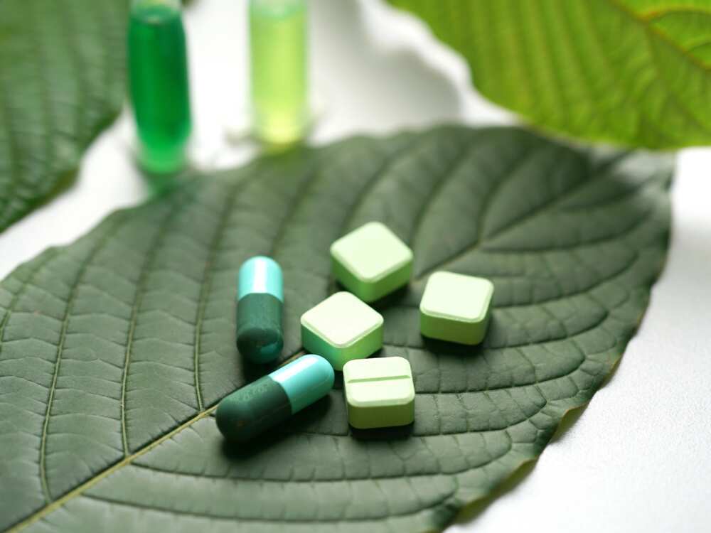 Importance of plants in modern pharmacy