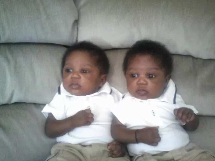 BOY twins