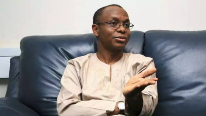 Exclusive: Read what this human right lawyer did to El-Rufai in Kaduna