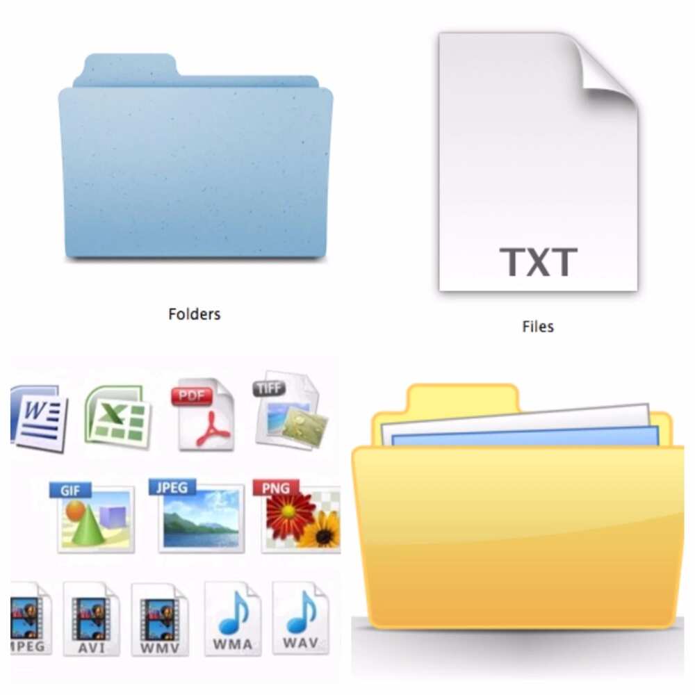 Types of computer files
