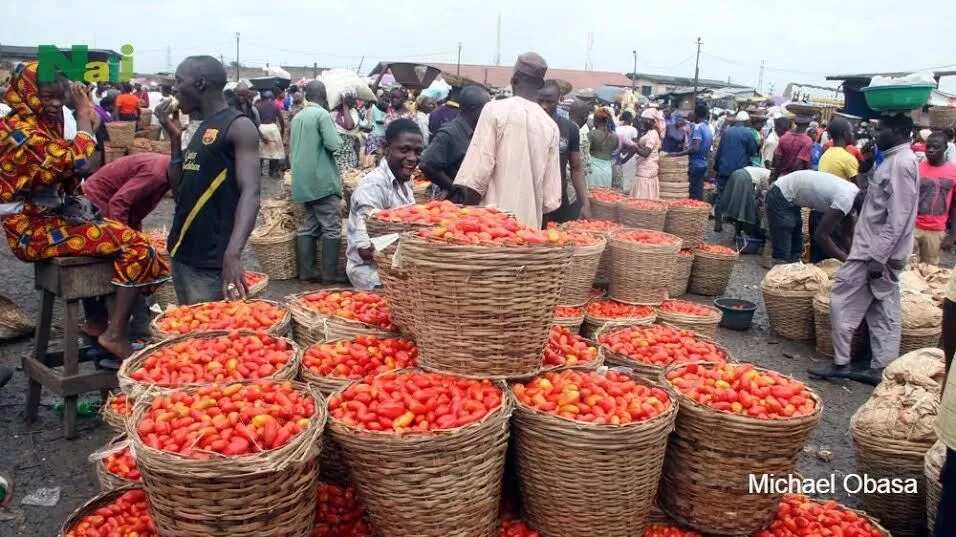 Mile 12 Market At A Glance